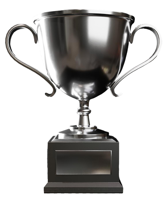 Forex Brokers Award (FX Daily), 2020